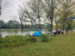 -东莞植物园