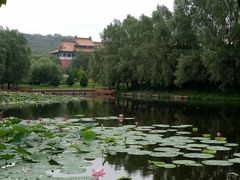 玉佛苑荷花池-二一九公园