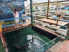 -蓝湾碧波·老字号·疍家非遗海上餐厅
