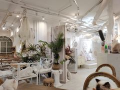 大堂-共舞时光猫咖·狗咖(新街口店)