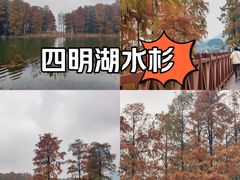 -四明湖