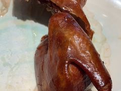 -新雅粤菜馆(南京东路店)