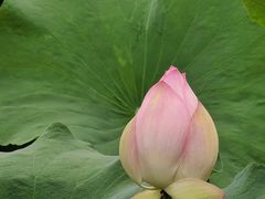 -四川大学(华西校区)