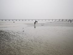 -南汇新城海滩