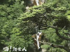 -大明山自然探索公园