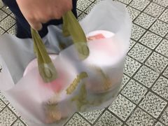 -珍妮曲奇聪明小熊(尖沙咀店)
