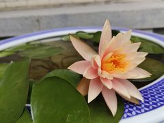 -西安市广仁寺