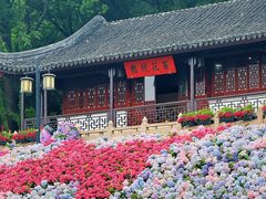 -苏州上方山国家森林公园