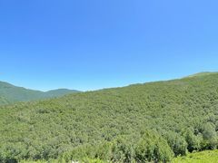 -灵山
