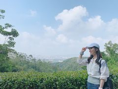 -火炉山森林公园
