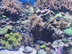 -珠海长隆海洋王国