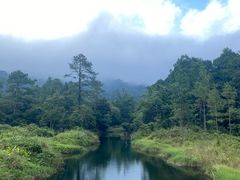 -海南热带雨林国家公园吊罗山景区