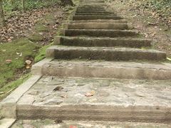 -上海佘山国家森林公园天马山园