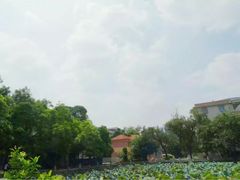 -广西大学(大学东路校区)