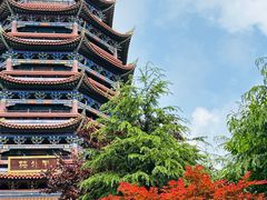 -铁山坪森林公园