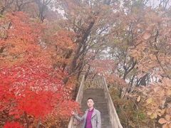 -丹东凤凰山景区