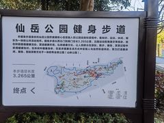 -仙岳公园