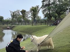 -南北湖风景区
