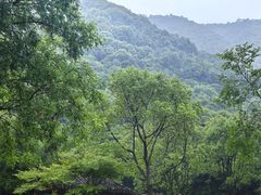 -黄公望隐居地