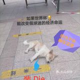 11月1日:彩票中奖68.8元，吃滴油水饺