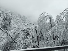 -峨眉山风景名胜区