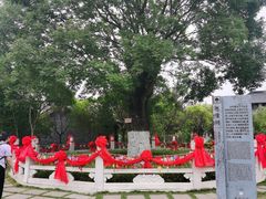 -东台西溪天仙缘景区