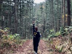 -青龙山国家森林公园