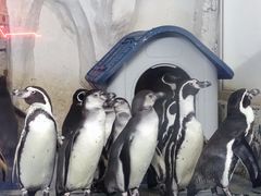 -太平洋海底世界