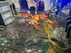 -太平洋海底世界