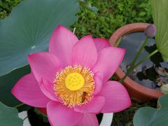 -河南省黄河迎宾馆