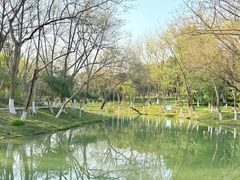 -青枫公园