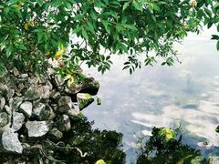 -抚仙湖禄充风景区