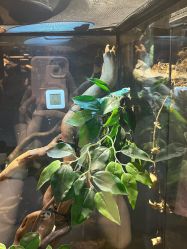 点击看大图 -Zoolung Zoolung动物主题公园(海信广场店)