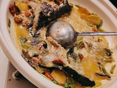 -饭怕鱼·黄焖鲟龙鱼(湖大店)
