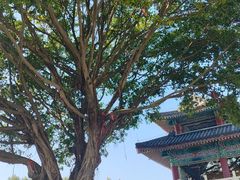 -高榜山景区