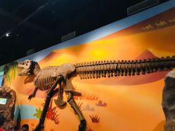 -北京科学中心儿童乐园