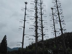 -井冈山风景名胜区