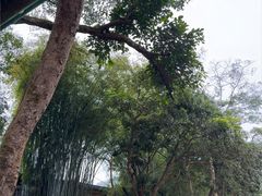 -广西龙虎山风景区
