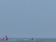 -日照海滨国家森林公园