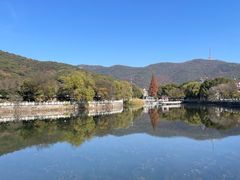 -惠山国家森林公园