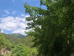 -木兰云雾山