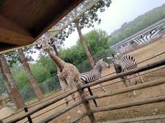 -大连森林动物园