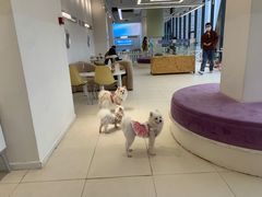 -怪兽屋·羊驼·猫咖·狗咖(俊华广场店)