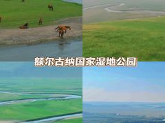 -呼伦贝尔大草原