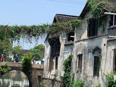 -乌镇东栅景区