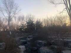 -大兴滨河森林公园