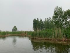 -白洋淀景区
