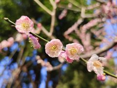-静安雕塑公园