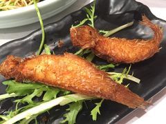 玫瑰香煎鱼-好福记饭店(红梅公园店)