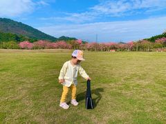-风云岭森林公园